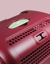Load image into Gallery viewer, UNITED PETS - A.U.T.O. - RIGID CARRIER WITH HYGIENIC MAT
