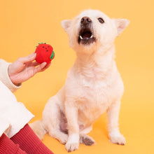 Load image into Gallery viewer, THE FURRYFOLKS - CHERRY TOMATO WORK &amp; TUG
