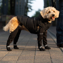 Load image into Gallery viewer, CANADA POOCH - SUSPENDER BOOTS
