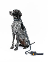 Load image into Gallery viewer, UNITED PETS - SOFT PADDED LEASH - GREY
