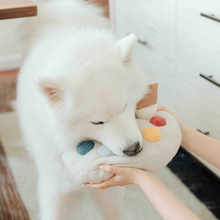 Load image into Gallery viewer, LAMBWOLF COLLECTIVE - COLOR PALETTE SET
