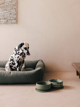 Load image into Gallery viewer, PINO PETS - CLASSIC BOWL - CROCODILE - SOLID
