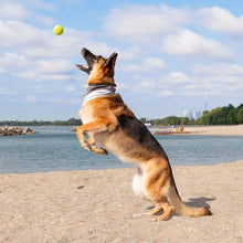 Load image into Gallery viewer, CANADA POOCH - MAX CHILL COOLING SNOOD - GREY
