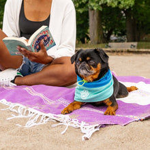 Load image into Gallery viewer, CANADA POOCH - MAX CHILL COOLING SNOOD - BLUE

