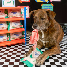 Load image into Gallery viewer, THE FURRYFOLKS - DOGGO WIPES
