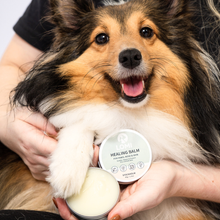 Load image into Gallery viewer, LOMI - HEALING BALM - FOR DOGS &amp; CATS
