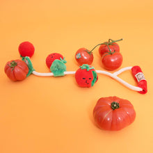 Load image into Gallery viewer, THE FURRYFOLKS - CHERRY TOMATO WORK &amp; TUG
