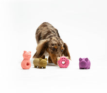 Load image into Gallery viewer, UNITED PETS - DONUT MINI

