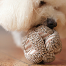 Load image into Gallery viewer, LAMBWOLF COLLECTIVE - MINI MONTI
