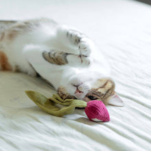 Load image into Gallery viewer, LAMBWOLF COLLECTIVE - KITTY RADISH

