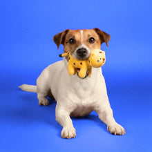 Load image into Gallery viewer, JAMPY - PINUCCIA THE TIGER
