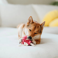 Load image into Gallery viewer, LAMBWOLF COLLECTIVE - LOLLIPOP
