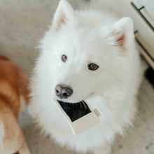 Load image into Gallery viewer, LAMBWOLF COLLECTIVE - INSTANT CAMERA
