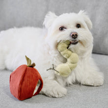 Load image into Gallery viewer, LAMBWOLF COLLECTIVE - APPLE SET
