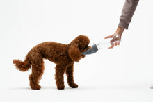 Load image into Gallery viewer, UNITED PETS - LEAF - WATER DISPENSER WITH ANTI-DRIP VALVE

