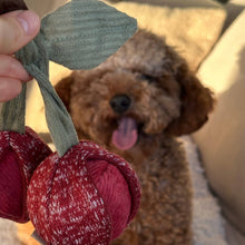 Load image into Gallery viewer, LAMBWOLF COLLECTIVE - CHERRY POP
