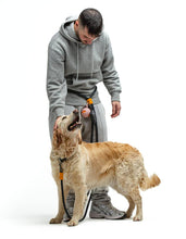 Load image into Gallery viewer, UNITED PETS - POP-A-BALL - GREEN
