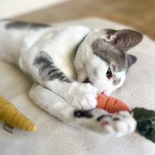 Load image into Gallery viewer, LAMBWOLF COLLECTIVE - KITTY BABY CARROTS
