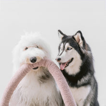 Load image into Gallery viewer, LAMBWOLF COLLECTIVE - O NOU
