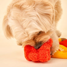 Load image into Gallery viewer, THE FURRYFOLKS - SURFER HOOMAN NOSEWORK TOY
