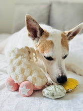 Load image into Gallery viewer, LAMBWOLF COLLECTIVE - ROLLER SKATE
