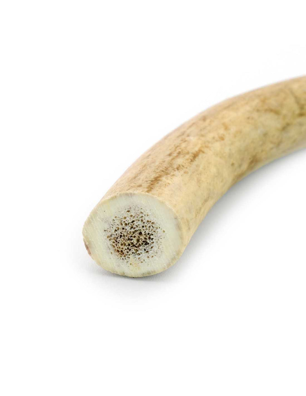 RECORD - DEER ANTLER
