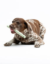 Load image into Gallery viewer, UNITED PETS - MR. BRANCH
