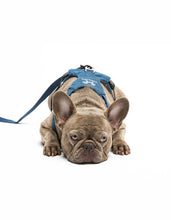 Load image into Gallery viewer, UNITED PETS - PADDED SOFT HARNESS - DENIM
