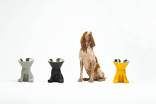 Load image into Gallery viewer, UNITED PETS - ELIZABETH - THE QUEEN OF BOWL
