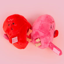 Load image into Gallery viewer, THE FURRYFOLKS - LOVE LOCKED
