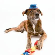 Load image into Gallery viewer, THE FURRYFOLKS - SURFER HOOMAN NOSEWORK TOY
