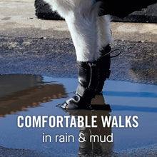 Load image into Gallery viewer, CANADA POOCH - WATERPROOF RAIN BOOTS - BLACK
