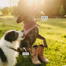 Load image into Gallery viewer, VEGDOG - CHEVVIES SMALL
