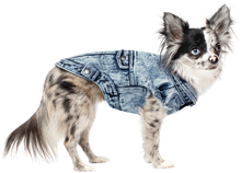 Load image into Gallery viewer, CANADA POOCH - DOWNTOWN DENIM DOG VEST
