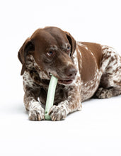 Load image into Gallery viewer, UNITED PETS - MR. BRANCH
