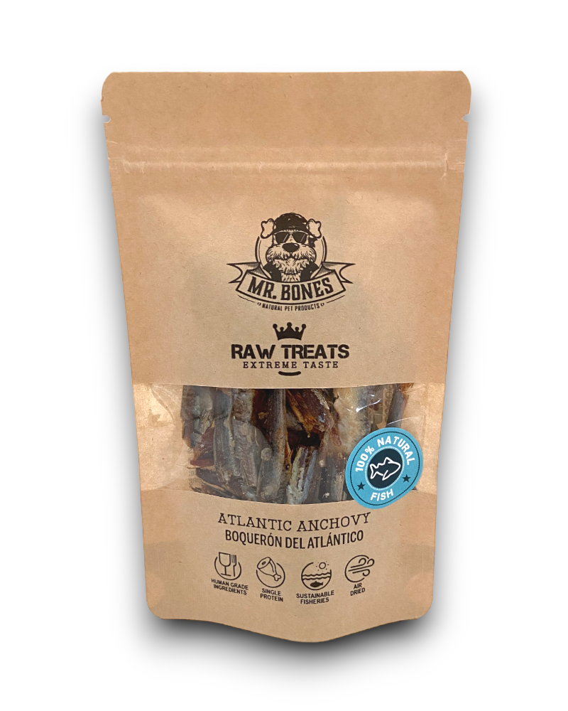 MR. BONES - ATLANTIC ANCHOVY