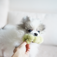 Load image into Gallery viewer, LAMBWOLF COLLECTIVE - APPLE SET
