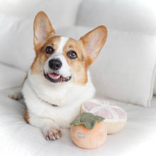 Load image into Gallery viewer, LAMBWOLF COLLECTIVE - GRAPEFRUIT
