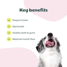 Load image into Gallery viewer, BUDDY PET FOODS - KELP FORMULA
