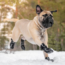 Load image into Gallery viewer, FINNERO - HALLA SOFTSHELL BOOTIES
