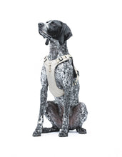 Load image into Gallery viewer, UNITED PETS - PADDED SOFT HARNESS - BEIGE
