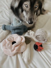 Load image into Gallery viewer, LAMBWOLF COLLECTIVE - POPPY

