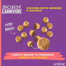 Load image into Gallery viewer, SCHESIR BORN CARNIVORE - CHICKEN WITH HERRING &amp; SALMON
