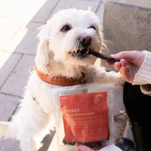 Load image into Gallery viewer, BUDDY PET FOOD - NO-MEAT FILETS - INSECT &amp; PUMPKIN
