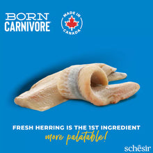 Load image into Gallery viewer, SCHESIR BORN CARNIVORE - HERRING WITH SALMON
