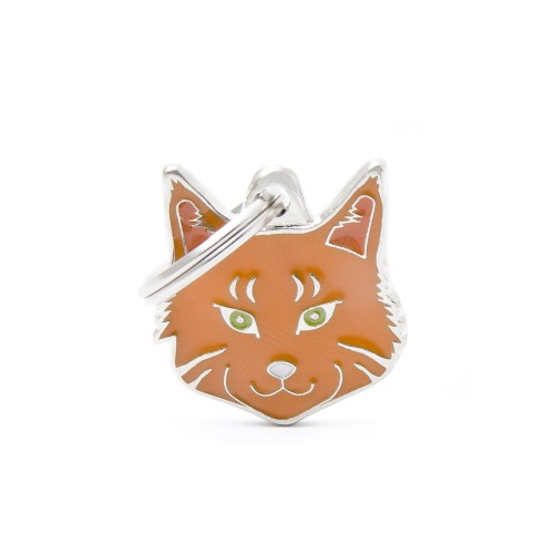 MY FAMILY - RED TABBY MAINE COON