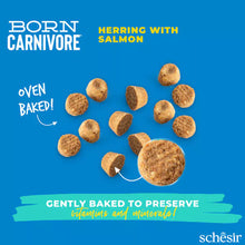 Load image into Gallery viewer, SCHESIR BORN CARNIVORE - HERRING WITH SALMON
