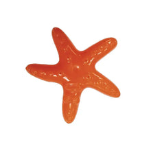 Load image into Gallery viewer, CROCI - STARFISH - COOLING
