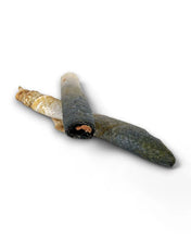 Load image into Gallery viewer, MR. BONES - SALMON ROLLS
