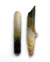 Load image into Gallery viewer, MR. BONES - SALMON ROLLS
